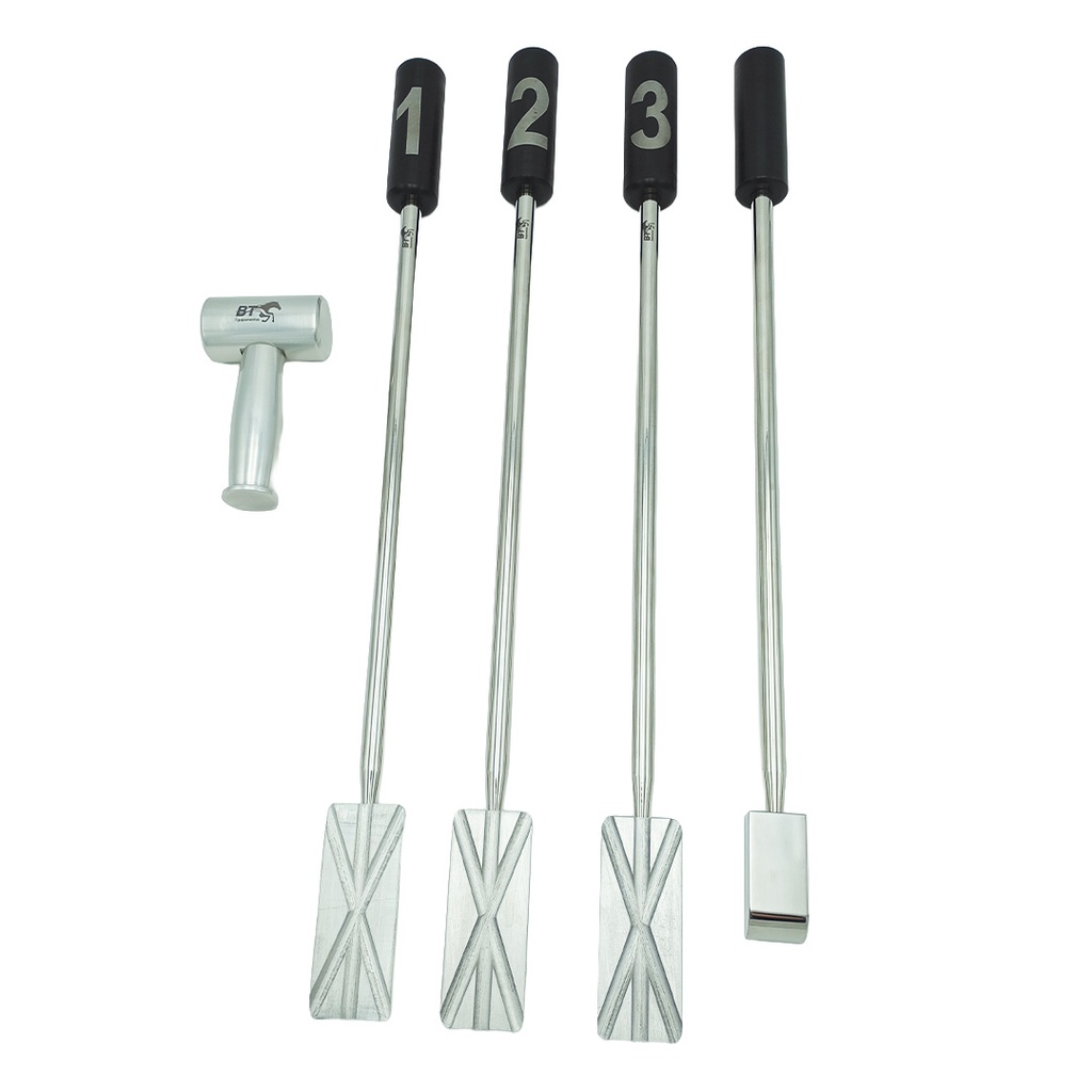 Set de Supports et Guides Pic Dentaire BT equipment