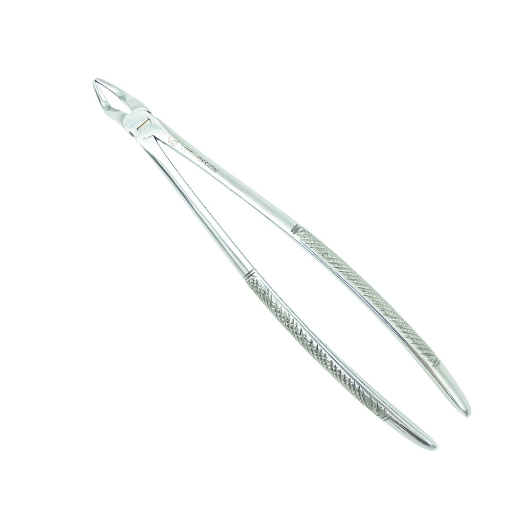 [DAV_DDC26] Curved Extraction Forceps, L : 26cm