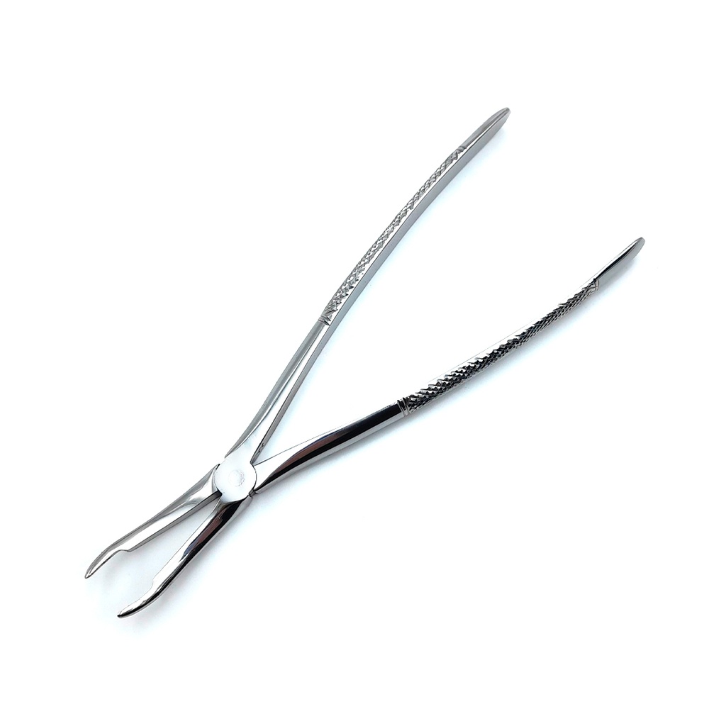 Long Thin Closed Head Extraction Forceps, L : 23 cm