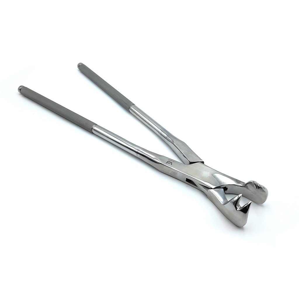 Stainless Steel 4 Points Extraction Forceps