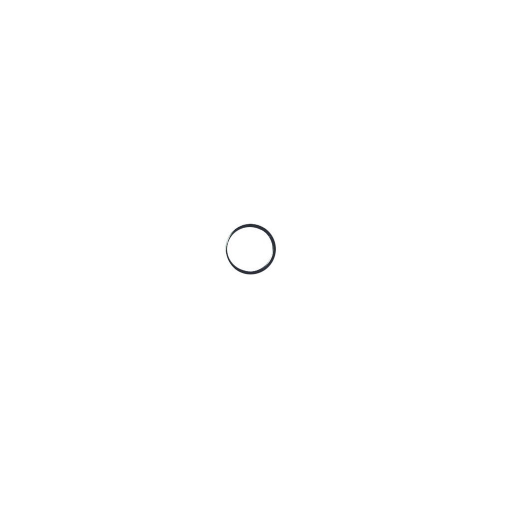 O-ring 13.5-1
