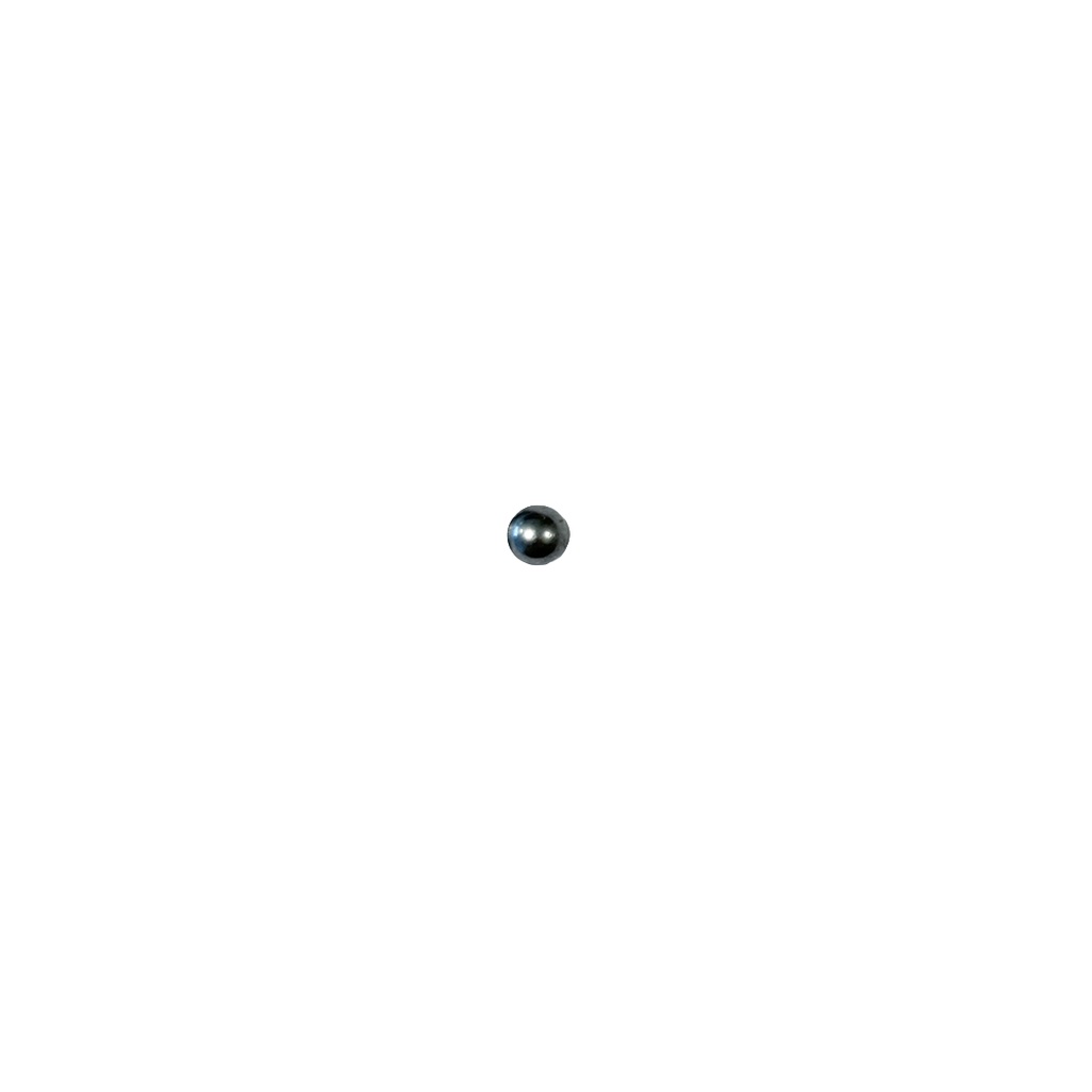 [ROU_BD5.5] Bille Inox Ø5.5
