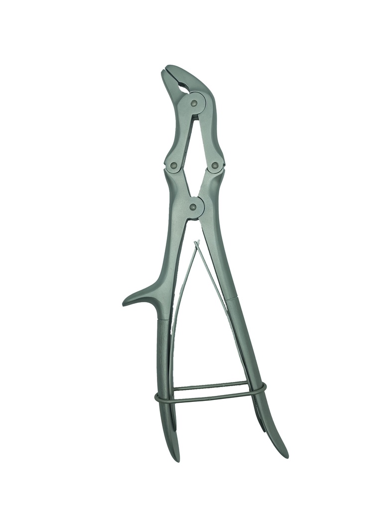 Pince Gouge Double Articulation Courbe 6mm Gamme Prestige