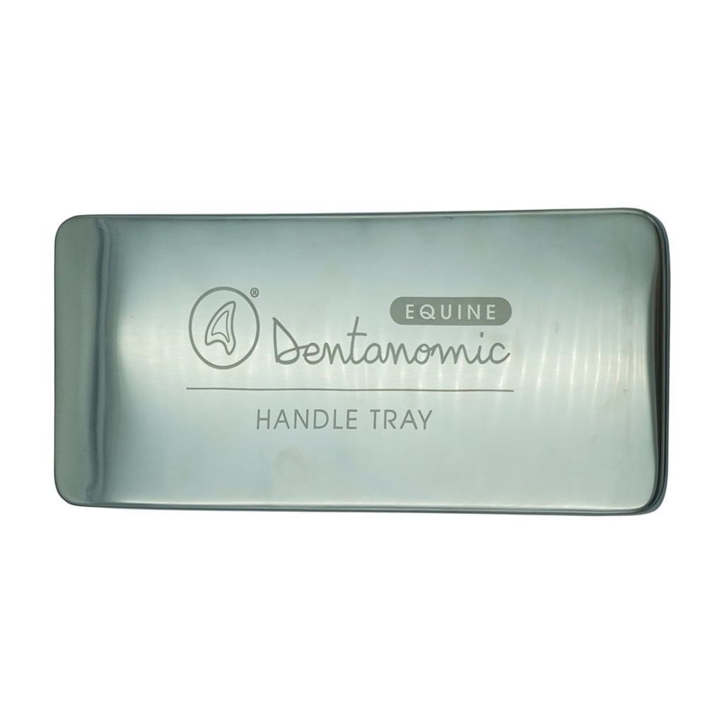 Handle Tray Steel Container Dentanomic
