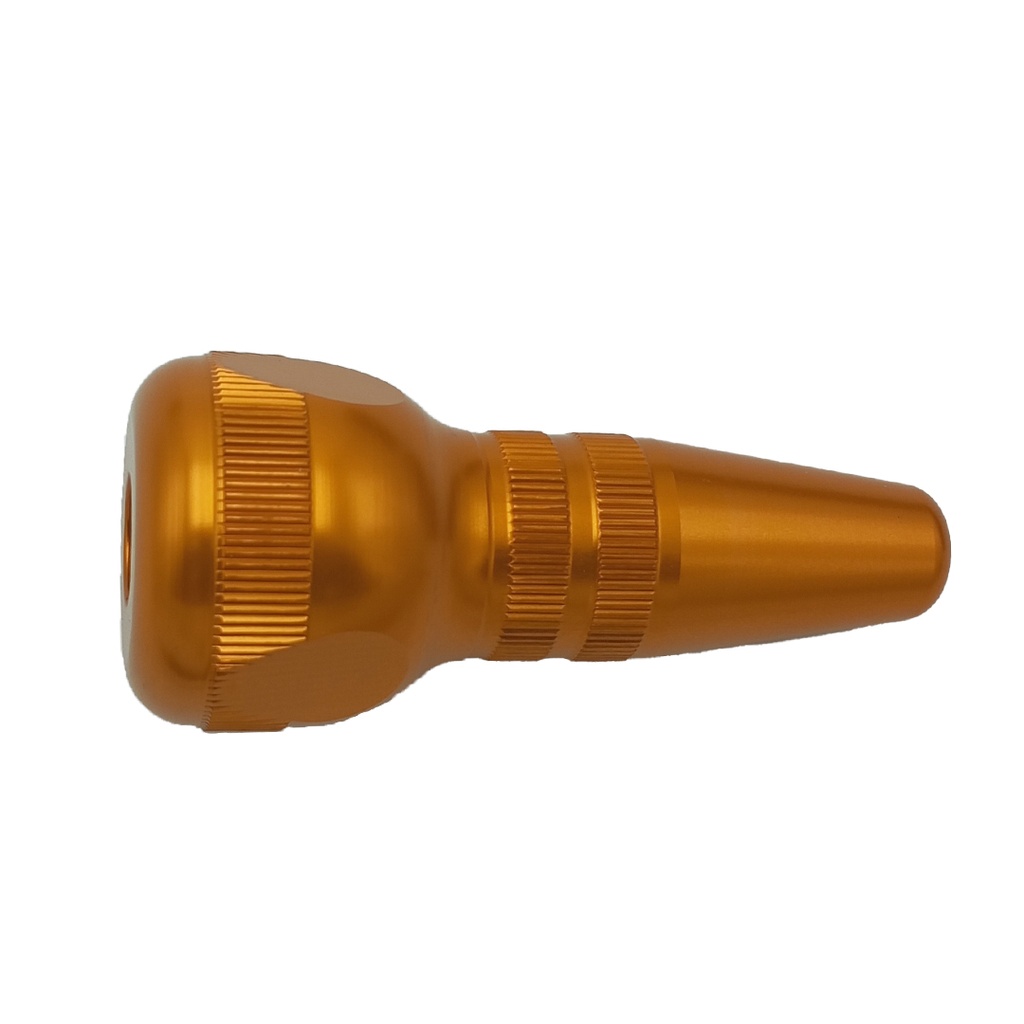 Long Gold Handle Dentanomic