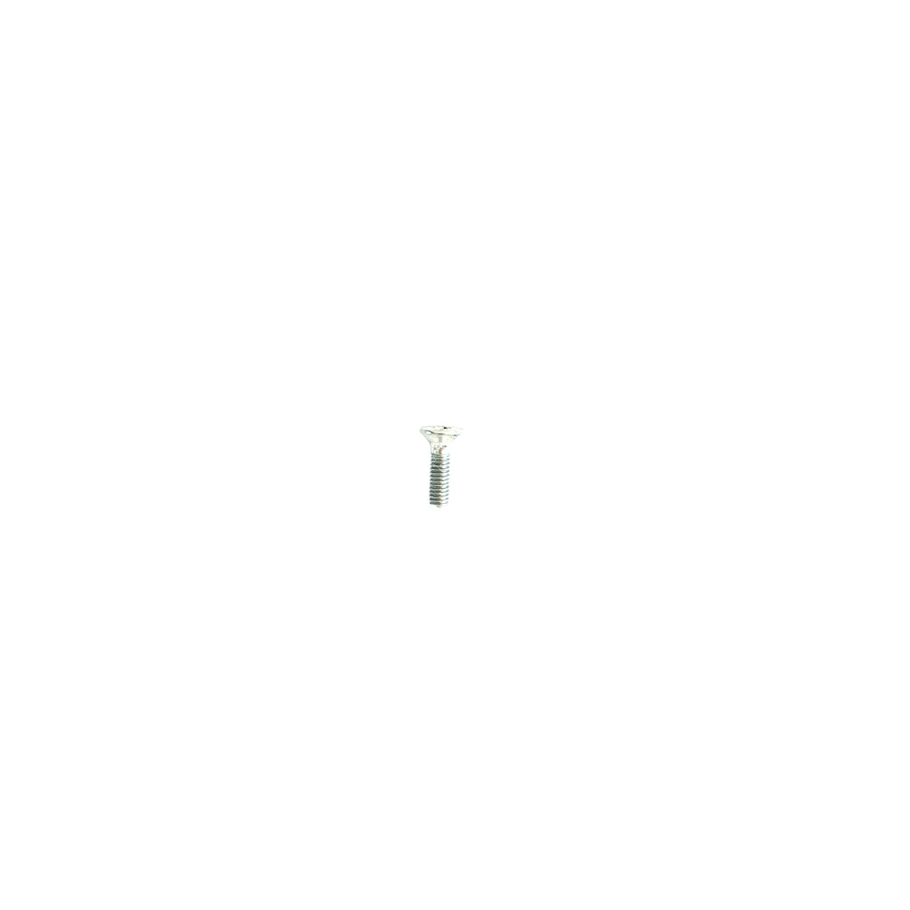 [VIS_M3-10T] Vis M3 *10 Torx