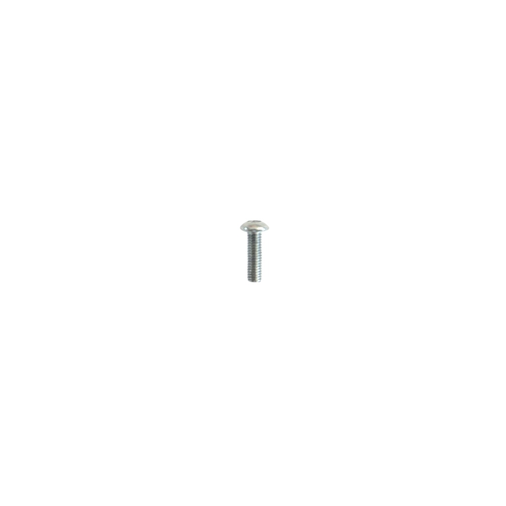 [VIS_TBHCM3-10] M3 x 10 Hexagon Rounded Head Screw